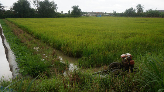 Doc gi hom nay 27/11: Vu 