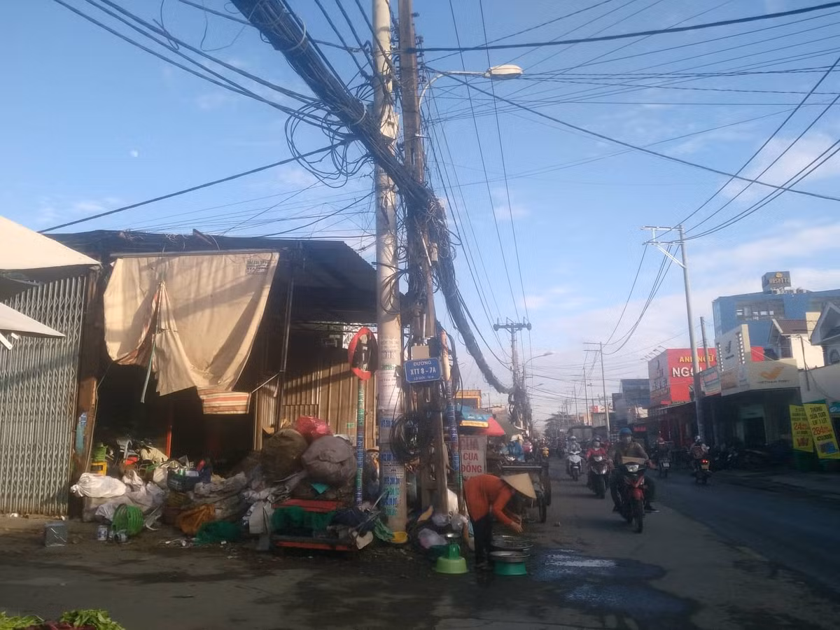 Những mạng nhện vừa làm mất mỹ quan thành phố, vừa mất an toàn cho người dân.