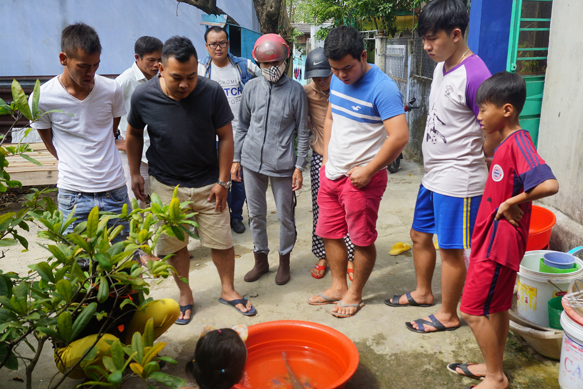 Ngư dân Đà Nẵng bắt được cá nghi sủ vàng tiền tỷ - Hình 2 Ngu dan Da Nang bat duoc ca nghi su vang tien ty-Hinh-2