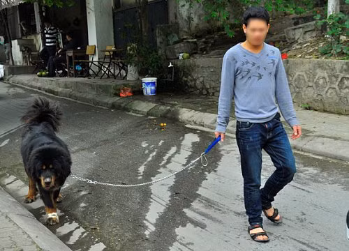 Tranh cai kich liet viec Ha Noi ra quan bat cho tha rong-Hinh-2