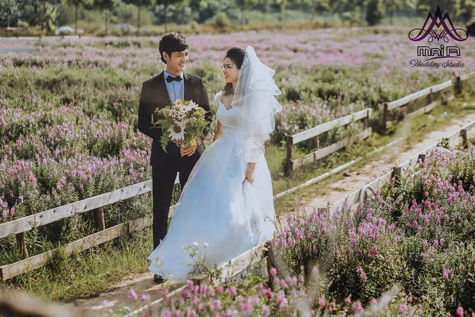 Trên cánh đồng hoa lãng mạn này, nhiều đôi bạn cũng chọn lựa là địa điểm chụp ảnh cưới. Ảnh: Quân Chùa.