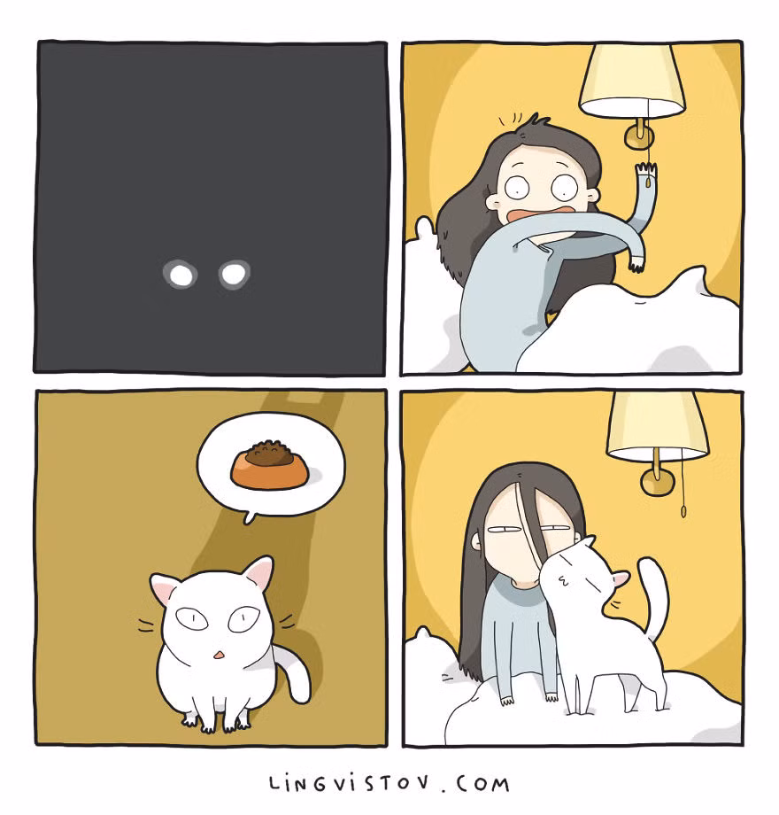 Tuy nhiên, lúc đói bụng, mèo ta lại chủ động gần gũi, nũng nịu cô chủ bất kể ban ngày hay giữa đêm.