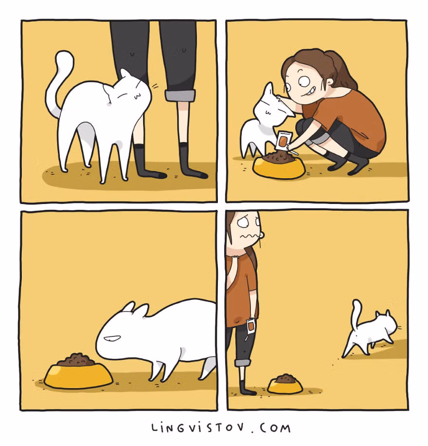 Nhiều lúc đòi ăn nhưng mèo lại phụ lòng cô chủ, quay ngoắt bỏ đi khi thức ăn không hợp khẩu vị.