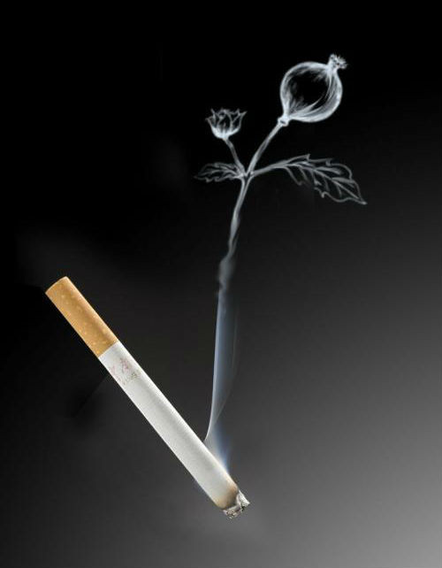 Hút thuốc là một trong những yếu tố gây nguy cơ cao nhất của căn bệnh ung thư bàng quang, viêm bàng quang, bệnh lý về tuyến tiền liệt ở đàn ông.Vì thế cần bỏ thuốc lá ngay từ hôm nay khi chưa muộn.