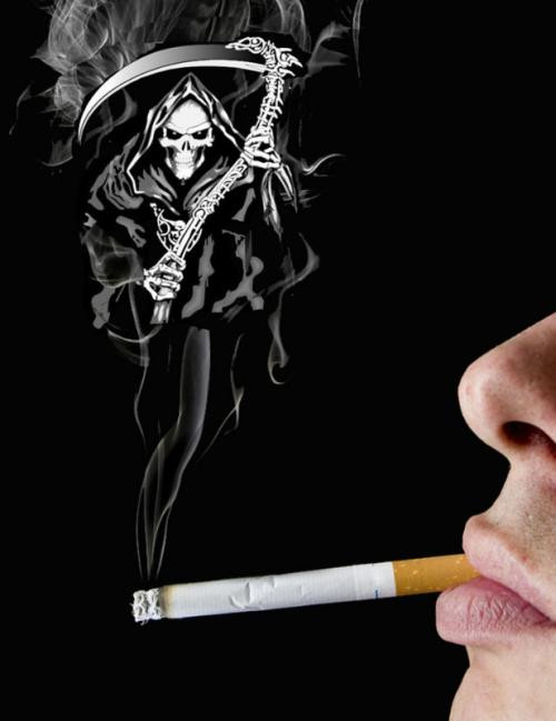 Nguyên nhân là do khói thuốc không chỉ giới hạn gây hại đối với phổi, mà chất nicotin và các chất có hại khác sẽ tuần hoàn vào máu và liên quan đến quá trình trao đổi chất trong cơ thể.