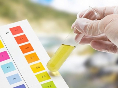 Nếu chỉ là lý do bình thường thì không đáng ngại, nhưng nó là lý do liên quan đến bệnh lý như chức năng gan, thận...cần phải đi thăm khám chuyên khoa kịp thời để được điều trị sớm.