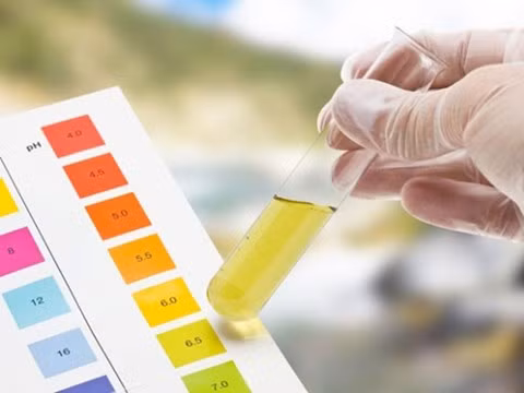 Nếu chỉ là lý do bình thường thì không đáng ngại, nhưng nó là lý do liên quan đến bệnh lý như chức năng gan, thận...cần phải đi thăm khám chuyên khoa kịp thời để được điều trị sớm.