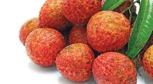 Vải: Có vị ngọt, chua, có tác dụng khai vị, ích tỳ, ôn trung, ngừa đau, ích gan.