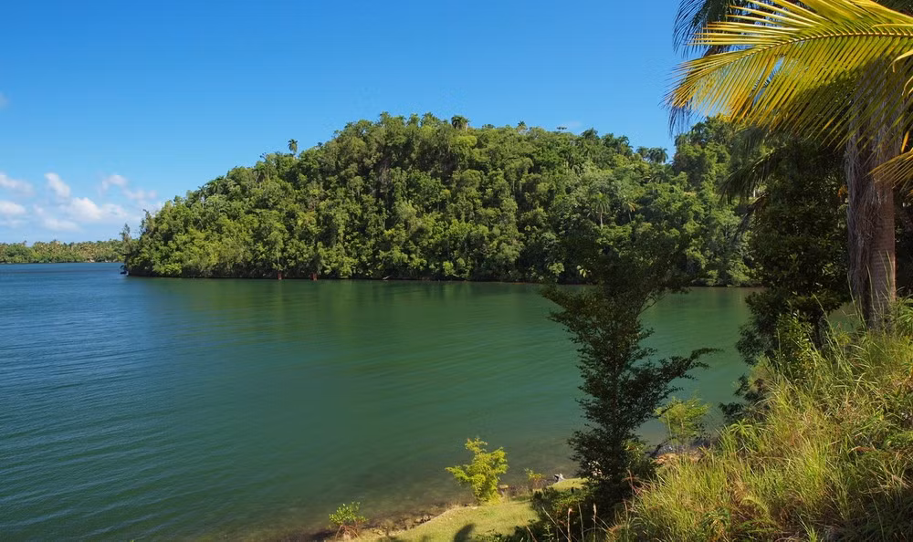 Vườn quốc gia Alejandro de Humboldt là một vườn quốc gia nằm tại tỉnh Holguín và Guantanamo, Cuba. Nó được đặt tên sau khi nhà khoa học người Đức Alexander von Humboldt đến thăm hòn đảo này vào năm 1800 và 1801. Vườn quốc gia này đã được ghi vào danh sách Di sản thiên nhiên thế giới của UNESCO vào năm 2001 bởi cấu tạo địa tầng địa chất, tính đa dạng về địa hình, và sự giàu có của các loài động thực vật đặc hữu.