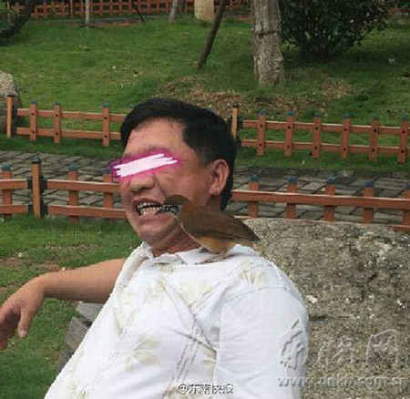 Dai gia Trung Quoc xia rang bang chim de khoe giau