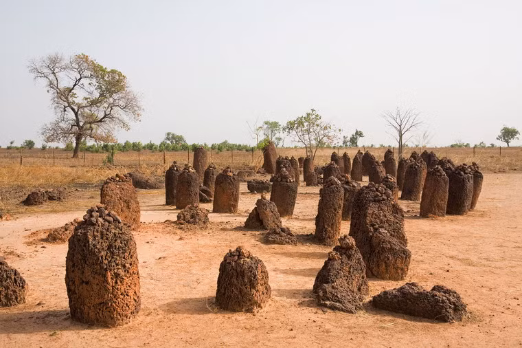 Năm 2006, UNESCO đã công nhận di tích vòng tròn đá Senegambian là di sản văn hóa thế giới.