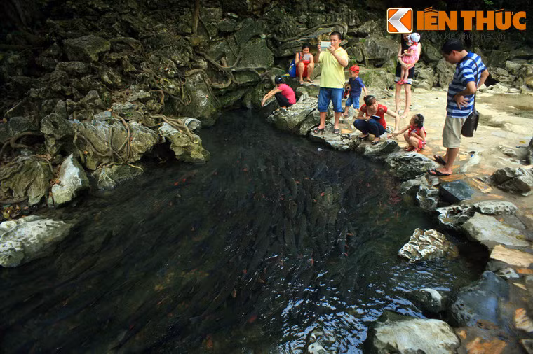 Vì vậy, qua nhiều thế hệ người dân trong khu vực luôn gìn giữ nuôi nấng, không ai dám ăn thịt loại cá này, vì đó là hành động xúc phạm đến thần linh, chẳng những gây ra tai họa cho mình mà còn cho cả cộng đồng.