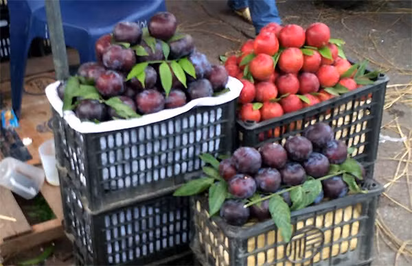 Man tim moi qua 1 lang chac chan la man tim Trung Quoc