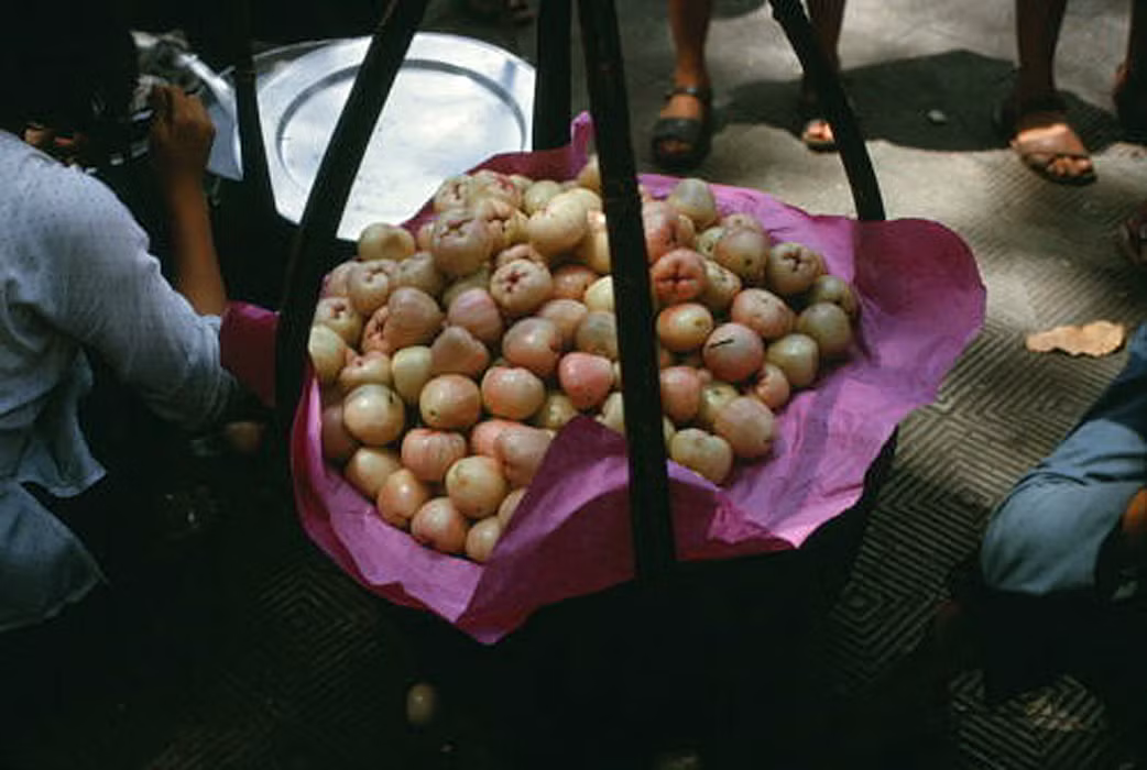 Gánh hàng mận (miền Bắc gọi là quả roi hay bòng bòng).