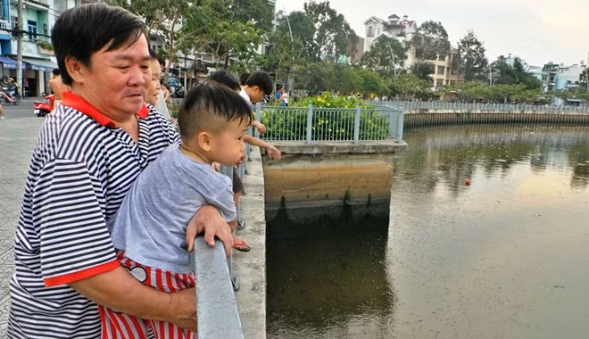 Ông Năm, người dân sống trên đường Trường Sa (đoạn qua phường 2, quận 3) cho biết, lần đầu tiên thấy hiện tượng cá nổi dày đặc. Theo ông, nước kênh các ngày qua chuyển màu, nổi nhiều bọt khí, có mùi hôi tanh.