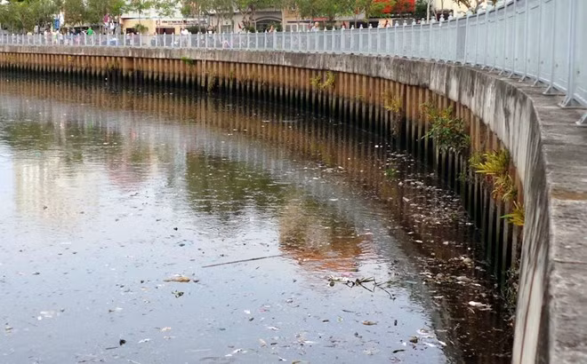 Tại những đoạn cong, xác cá cùng đủ loại rác thải đọng lại, mắc kẹt vào hốc đá rồi phân hủy gây ô nhiễm môi trường.