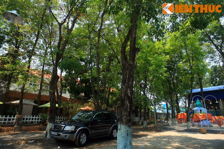 Theo các bậc cao niên sống trong vùng, thời Pháp thuộc Tân Thới Hiệp là một vùng trồng cao su lớn, chạy dọc hai bên đường là những vườn cao su xanh tốt.