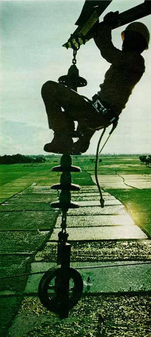 Công nhân điện lực lắp đặt đường dây điện bên những cánh đồng mênh mông được bồi đắp bởi phù sa sông Mekong.