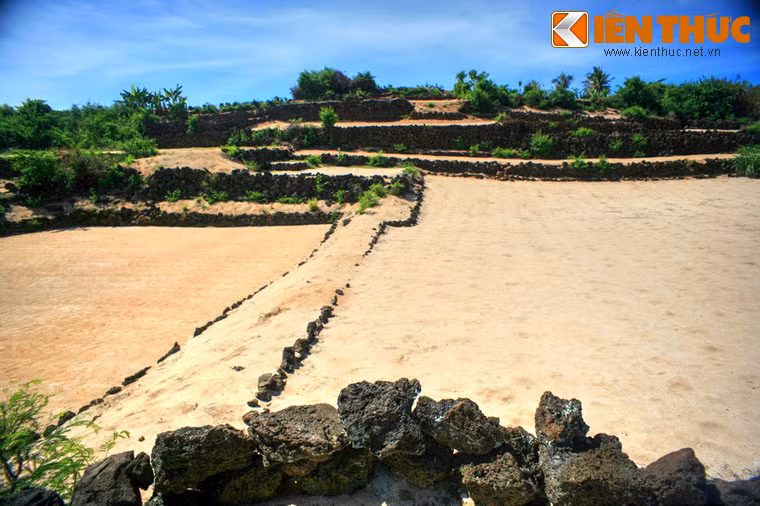 Một trong những điều lý thú nhất mà du khách có thể bắt gặp trên hòn đảo này là những thửa ruộng bậc thang độc nhất vô nhị, không nơi nào khác có được.