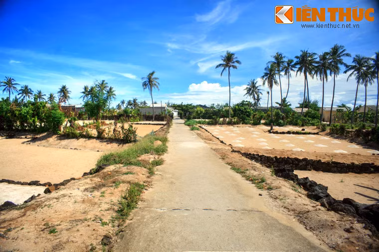 Trong tương lai, những thửa ruộng bậc thang độc đáo của đảo Bé Lý Sơn có thể sẽ góp phần quan trọng vào việc phát triển du lịch của hòn đảo còn rất hoang sơ này.