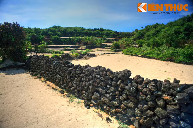 Dù vậy, đó cũng là nguồn thu quý giá giúp các cư dân đảo Bé để duy trì sinh kế, bên cạnh hoạt động đánh bắt cá.