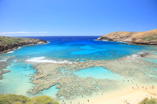 Những rặng san hô rải rác ngay sát bờ biển ở vịnh Hanauma, Hawaii đẹp đến ngỡ ngàng.