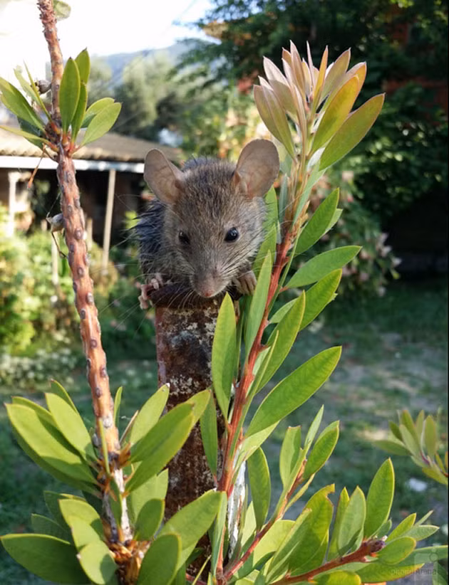 3. Ảnh chụp từ smartphone Sony Xperia Z1.