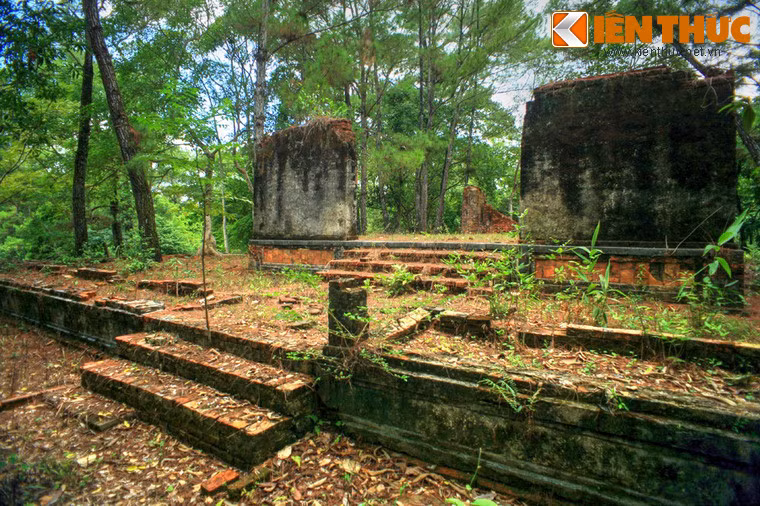 Các loài cây dại bao phủ lên Linh Phương Các, khiến khung cảnh càng trở nên hiu quạnh.
