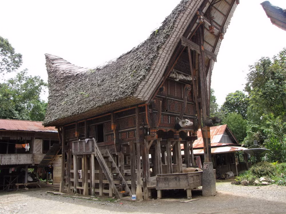 Một tộc người ở Indonesia vẫn có kiểu nhà sàn giống hệt với những hình vẽ trên trống đồng Đông Sơn. Đó là thổ dân Toraja sống trên đảo Sulawesi của Indonesia.