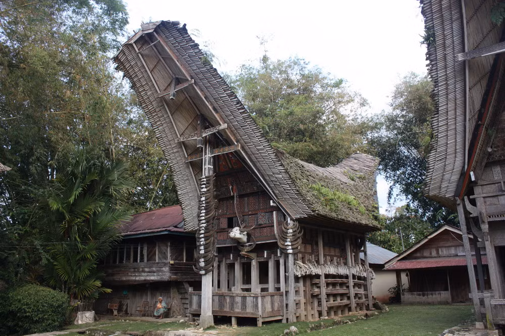 Theo một truyền thuyết, tổ tiên người Toraja đến đảo Sulawesi từ miền Bắc bằng thuyền gỗ. Do gặp bão lớn, họ dừng chân ở vùng đất này và lấy con thuyền làm mái nhà trú ẩn. Đó là nguồn gốc của những ngôi nhà tongkonan.