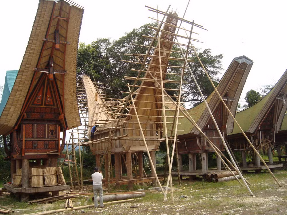 Những chiếc nhà sàn hình thuyền của họ được gọi là tongkonan. Loại nhà này có vật liệu chính là gỗ, tre, nứa, ghép vào nhau mà không cần đóng đinh. Phần thân nhà được dựng trên các cột gỗ giống như nhà sàn của dân tộc thiểu số Việt Nam. v