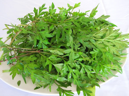 Tại thành thị, món rau đặc sản này rất khó tìm thấy để mua. Chúng được các trang web bán hàng online rao bán mỗi gói rau nhái từ 60.000 đồng.