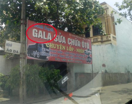 Viết sai từ Gara sửa chữa ô tô thành "Gala".