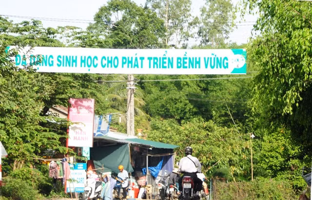 Phát triển bền vững đã bị viết nhầm thành "bềnh vững".