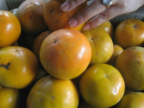 Còn hồng Việt Nam, khi mua, người tiêu dùng nên chú ý núm quả có nhiều đốm đen, bóc ra thấy phần ruột gần núm hơi bị cứng.