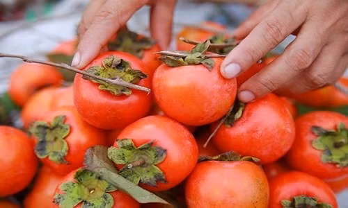 Nhiều người tiêu dùng phân vân làm sao để phân biệt hồng Trung Quốc và hồng Việt Nam, mua không bị hớ.