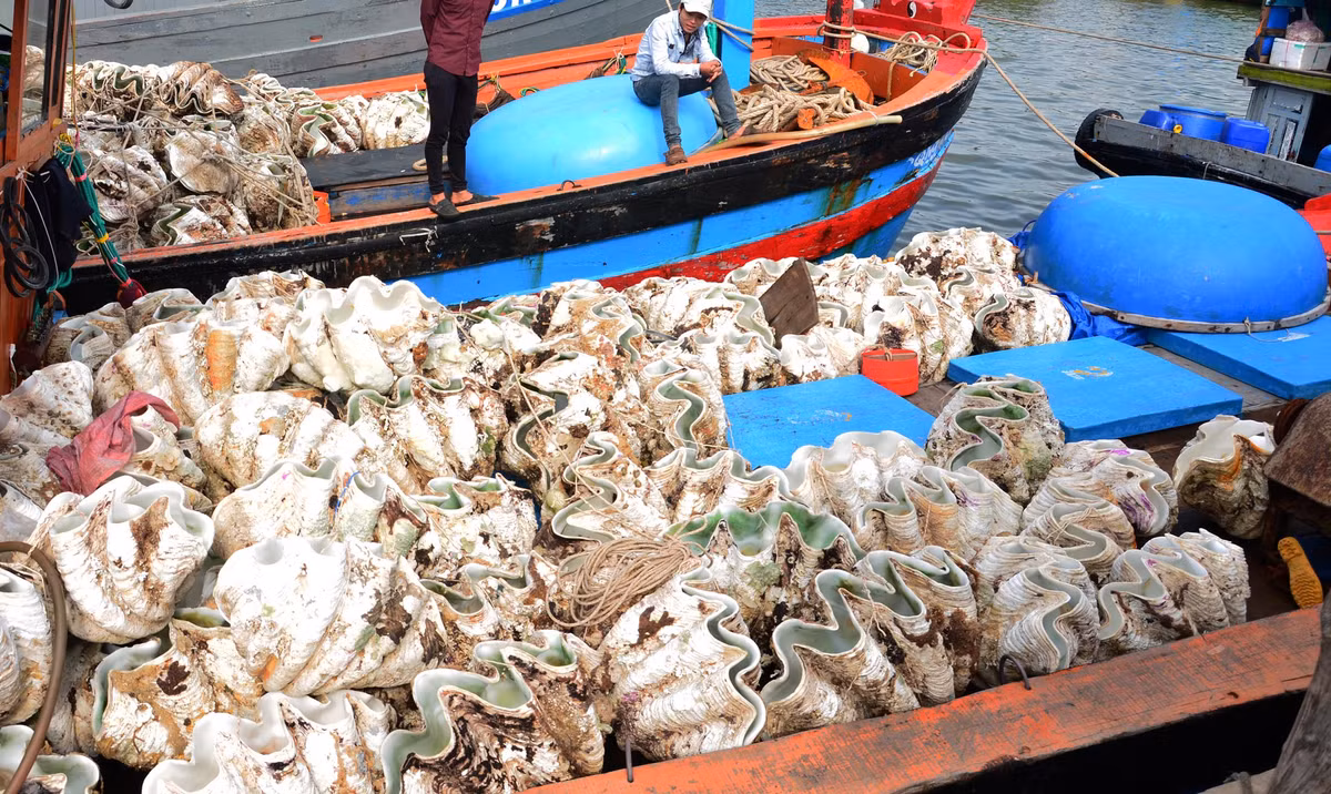 Kham pha thuy quai bien Dong ky di hai ra tien