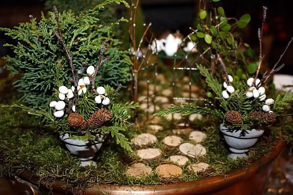 Hầu hết các loại cây được chọn trồng trong tiểu cảnh mini đều là loại ưa điều kiện sống khắc nghiệt như sen đá, cỏ, dương xỉ, xương rồng....