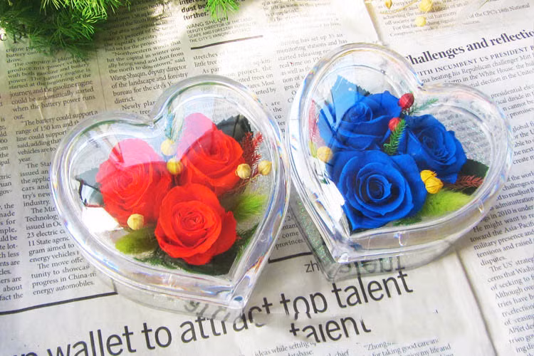 Hộp quà thủy tinh với các loại hồng vĩnh cửu có giá trên dưới 300.000 đồng, tùy thuộc vào số lượng hoa và các phụ kiện trang trí kèm.