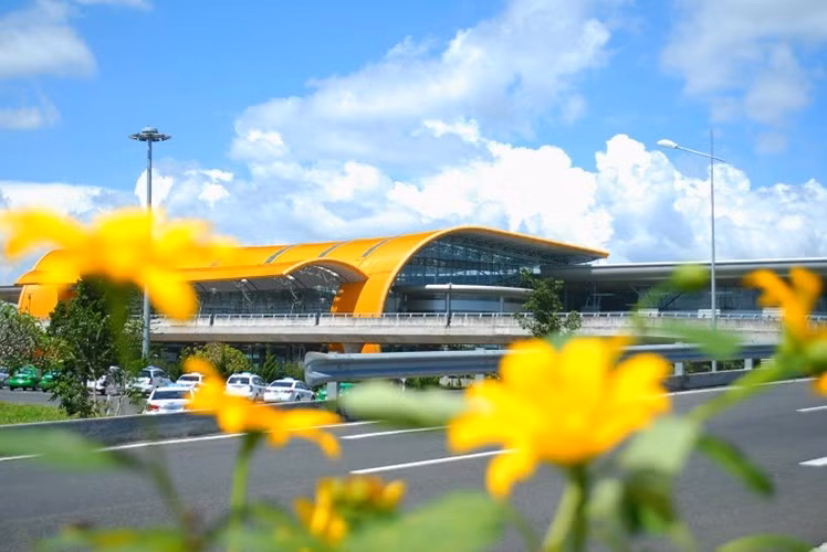 Sắc vàng của dã quỳ khiến sân bay thêm phần thơ mộng, lãng mạn.