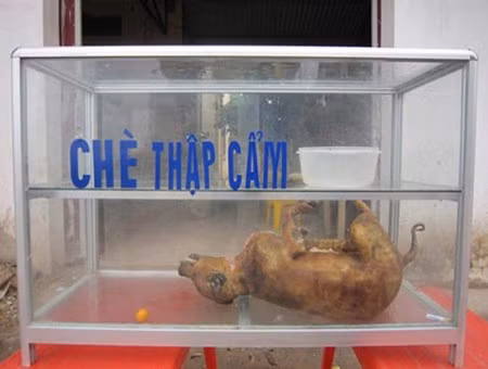 Món chè thập cẩm mới????