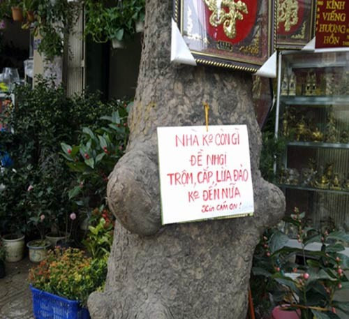 Nội dung trên tấm biển khiến bạn không khỏi phì cười.