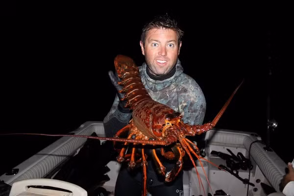 Các "cụ" tôm tuổi đời 60 - 90 tuổi hiếm có thường có cân nặng "khủng". Anh Forrest khi đang lặn bờ biển California, Mỹ gần Đảo Anacapa thì vô tình bắt gặp con tôm hùm khổng lồ, ước tính tuổi thọ khoảng 70 năm.