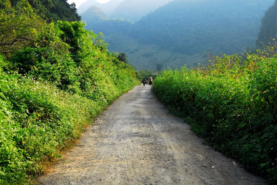 Giá tour đi Mộc Châu dao động từ 1 - 1,1 triệu đồng/người (tour 2 ngày 1 đêm). Theo đó, khách sẽ được thăm quan các khu cao nguyên Mộc Châu, đến Ba Phách ngắm hoa dã quỳ hay lên nông trường chè bạt ngàn màu xanh.