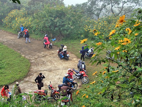 Hành trình đi vườn quốc gia Ba Vì có thể di chuyển bằng xe đạp, xe máy... Chi phí cho một buổi đi theo nhóm không quá đắt đỏ, dao động khoảng trên dưới 200.000 đồng/người (cho 1 ngày) và tới 300.000 - 400.000 đồng (cho 2 ngày).