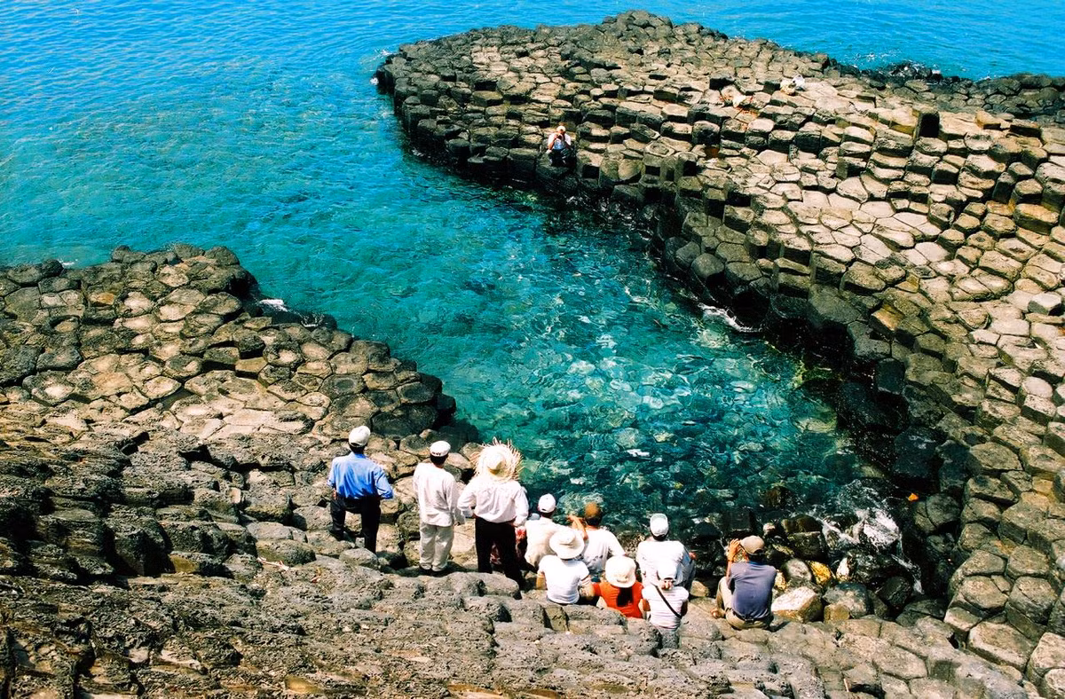 Đối với khách Hà Nội, tour Hà Nội - Tuy Hòa - Phú Yên (5 ngày 4 đêm) khám phá các vùng Núi Nhạn (Tuy Hòa), kia là Gành Đá Dĩa, Vịnh Vũng Rô, tháp Nhạn... khám phá gần hết những thắng cảnh đẹp của Phú Yên có giá 7-8 triệu đồng/người.
