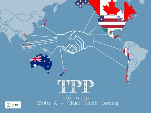 Đàm phán TPP là một quá trình dài với rất nhiều cuộc họp ở nhiều cấp khác nhau. Từ năm 2010 đến 2013, tổng cộng đã có 19 vòng đàm phán chính thức diễn ra. Trong đó có vòng đàm phán thứ 7 được tổ chức tại TP Hồ Chí Minh trong các ngày từ 15 đến 24/6/2011.Trong 2 năm gần đây là 2014 và 2015, tiếp tục có nhiều cuộc đàm phán cấp Bộ trưởng và cấp trưởng đoàn đàm phán diễn ra tại nhiều nước.