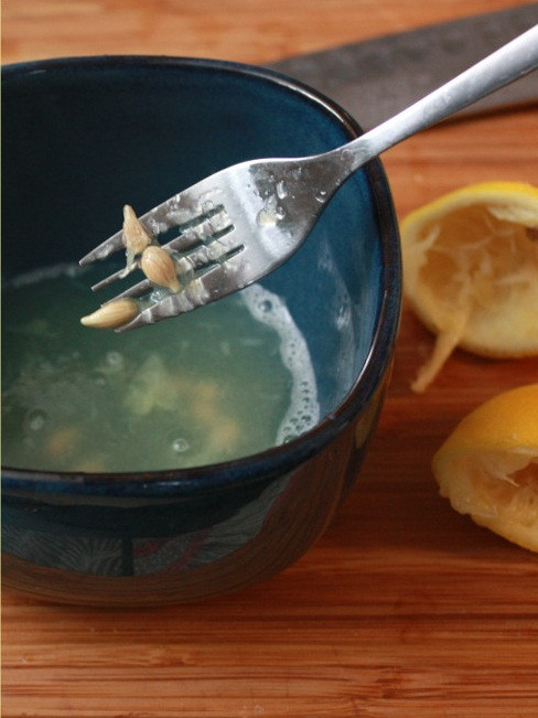 Chọn những hạt chắc, to, tròn đều, không chọn những hạt bị lép hoặc quá nhỏ để trồng.