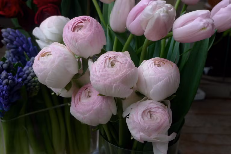 Tượng trưng cho sự tròn đầy, viên mãn và hạnh phúc, chúng không chỉ được các đôi uyên ương chọn trong ngày cưới mà còn rất được ưa chuộng để bày tỏ tình cảm với người khác giới trong các dịp quan trọng.