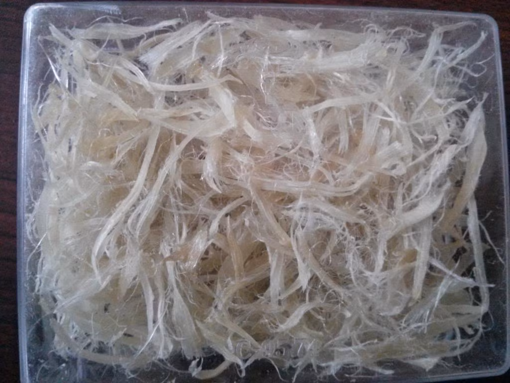 Vi cá mập giả được làm từ những chất gelatin,sodium alginate…là những chất rất độc hại cho cơ thể nhất là gan. Vi cá giả rất dễ đứt, kéo nhẹ 2 đầu là dứt lìa, vi cá thật giòn và dai nên phải kéo mạnh mới đứt.